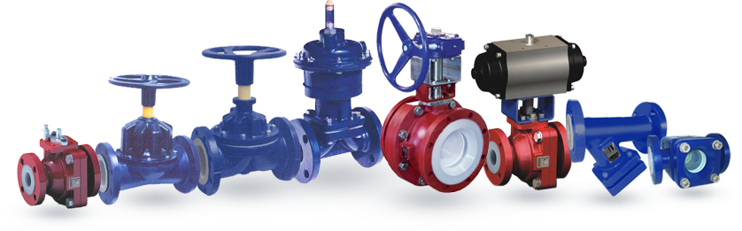 Swing Check Valve